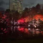 ヒメ日記 2025/11/03 12:05 投稿 かづき 黒い金魚（札幌）