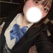 ヒメ日記 2025/11/09 16:00 投稿 かづき 黒い金魚（札幌）