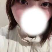 ヒメ日記 2025/11/14 17:00 投稿 かづき 黒い金魚（札幌）