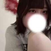 ヒメ日記 2025/11/14 23:01 投稿 かづき 黒い金魚（札幌）