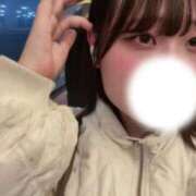 ヒメ日記 2025/11/27 16:30 投稿 かづき 黒い金魚（札幌）