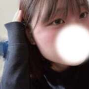 ヒメ日記 2025/11/28 15:00 投稿 かづき 黒い金魚（札幌）