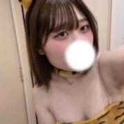 ヒメ日記 2025/12/08 14:50 投稿 かづき 黒い金魚（札幌）