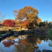 ななせ40分8400円 🍁 回春性感メンズエステ猫の手 岐阜／岐南