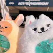 ヒメ日記 2025/12/08 09:03 投稿 ななせ40分8400円 回春性感メンズエステ猫の手 岐阜／岐南