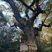 ヒメ日記 2026/01/05 22:37 投稿 ななせ40分8400円 回春性感メンズエステ猫の手 岐阜／岐南