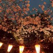 ヒメ日記 2026/04/25 07:38 投稿 胡桃-くるみ 熟女10000円デリヘル 川崎
