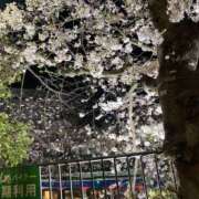 ヒメ日記 2026/04/25 05:56 投稿 胡桃-くるみ 熟女10000円デリヘル横浜