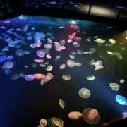 ヒメ日記 2025/11/24 20:10 投稿 小鳥遊ありな 五反田はじめてのエステ