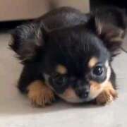 ヒメ日記 2026/03/01 19:31 投稿 梅原 咲良 30代40代50代と遊ぶなら博多人妻専科24時