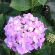 ヒメ日記 2026/06/09 18:28 投稿 梅原 咲良 30代40代50代と遊ぶなら博多人妻専科24時