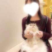 ヒメ日記 2025/11/03 23:01 投稿 水越 理沙 人妻セレブ宮殿