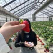 ヒメ日記 2026/02/04 09:23 投稿 水越 理沙 人妻セレブ宮殿