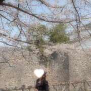 ヒメ日記 2026/03/28 14:09 投稿 水越 理沙 人妻セレブ宮殿