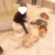 ヒメ日記 2026/04/10 14:31 投稿 水越 理沙 人妻セレブ宮殿