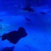 ヒメ日記 2025/12/20 18:09 投稿 うらら【性感】 性感エステBianca豊中店