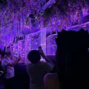 ヒメ日記 2025/12/31 15:40 投稿 うらら【性感】 性感エステBianca豊中店