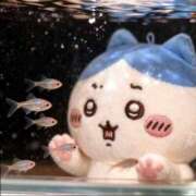 ヒメ日記 2026/01/05 22:01 投稿 うらら【性感】 性感エステBianca豊中店