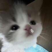 ヒメ日記 2026/03/02 15:02 投稿 うらら【性感】 性感エステBianca豊中店