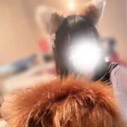 ヒメ日記 2025/10/26 18:44 投稿 うさ 花火-hanabi-(すすきの)