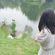 ヒメ日記 2025/10/30 12:43 投稿 うさ 花火-hanabi-(すすきの)