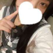 ヒメ日記 2025/10/19 07:23 投稿 こむぎ ホワイトハウス