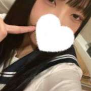 ヒメ日記 2025/12/09 10:05 投稿 こむぎ ホワイトハウス