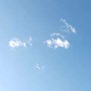 ヒメ日記 2025/11/11 16:03 投稿 かなえ 肌水(名古屋)