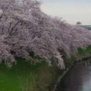 ヒメ日記 2026/01/16 21:20 投稿 かなえ 肌水(名古屋)