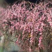 ヒメ日記 2026/02/25 12:27 投稿 かなえ 肌水(名古屋)