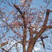 ヒメ日記 2026/03/23 19:58 投稿 かなえ 肌水