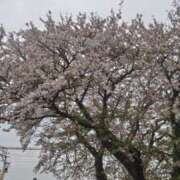 ヒメ日記 2026/04/09 18:09 投稿 かなえ 肌水