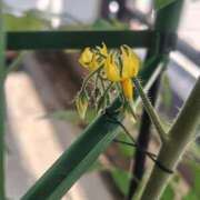 ヒメ日記 2026/05/12 16:40 投稿 かなえ 肌水