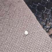 ヒメ日記 2026/05/13 15:59 投稿 かなえ 肌水