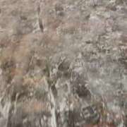 ヒメ日記 2025/11/19 19:00 投稿 桜井ななみ お姉さんLABO -艶-