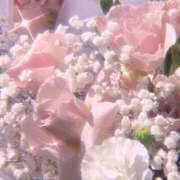 あず 今日は縁結びの日♡ プリコレ（PRINCESS COLLECTION）