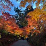 ヒメ日記 2025/11/11 18:46 投稿 オト マテリアル