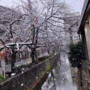 ヒメ日記 2026/02/08 16:12 投稿 平野 ゆみ 京都ホットポイント