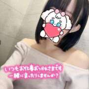 ヒメ日記 2025/12/21 09:45 投稿 ゆみ ぐっすり山田 横浜店