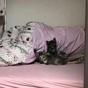 ヒメ日記 2025/11/23 12:16 投稿 ゆあ・SP やまとなでしこ桜組