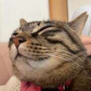 ヒメ日記 2025/12/29 14:40 投稿 ゆあ・SP やまとなでしこ桜組