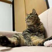 ヒメ日記 2026/01/21 15:32 投稿 ゆあ・SP やまとなでしこ桜組