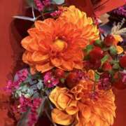 ヒメ日記 2025/10/25 22:41 投稿 星月ゆの ワイフコレクション