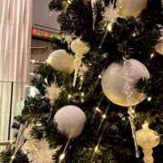 ヒメ日記 2025/11/07 08:00 投稿 星月ゆの ワイフコレクション