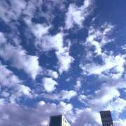 ヒメ日記 2025/12/15 23:30 投稿 星月ゆの ワイフコレクション