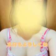 ヒメ日記 2025/12/27 09:26 投稿 星月ゆの ワイフコレクション