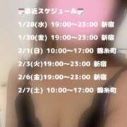 ヒメ日記 2026/01/27 22:33 投稿 星月ゆの ワイフコレクション