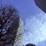 ヒメ日記 2026/02/03 14:39 投稿 星月ゆの ワイフコレクション