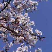 ヒメ日記 2026/03/28 19:00 投稿 星月ゆの ワイフコレクション