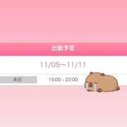 ヒメ日記 2025/11/05 10:52 投稿 ゆう OKINI立川